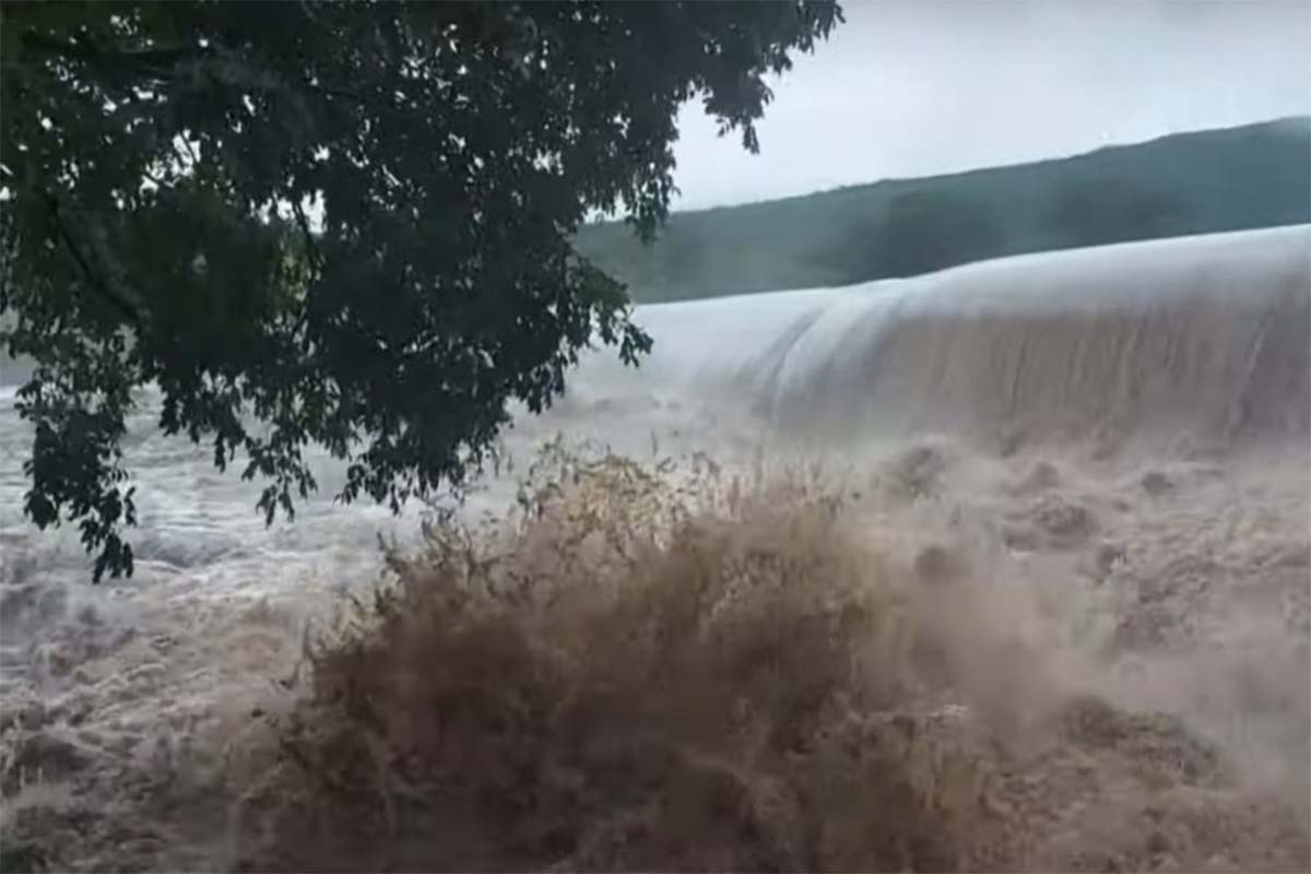 Foto: Divulgação / Terra Querida Jussiape BA