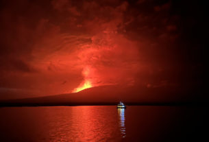 Andy Torres/Parque Nacional Galápagos via Getty Images